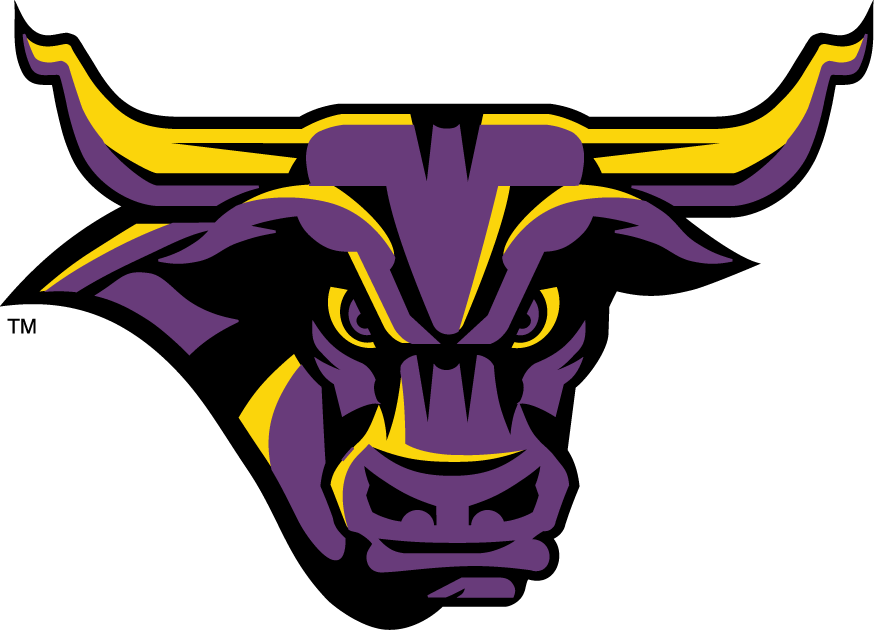 Minnesota State Mavericks 2001-Pres Partial Logo iron on heat transfers